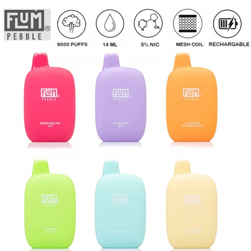 FLUM PEBBLE 6000 PUFFS DISPOSABLE VAPE 5CT/DISPLAY